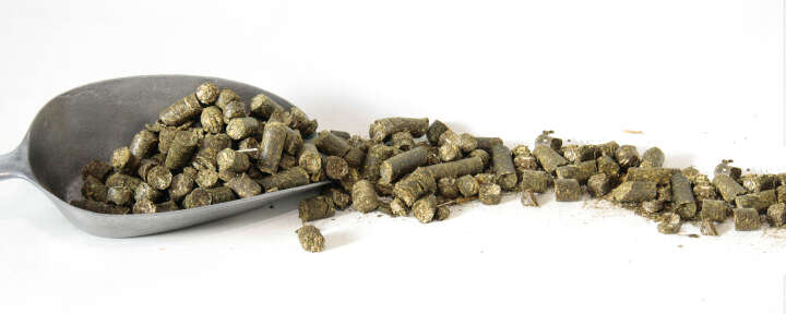 Höveler Senior-Cobs